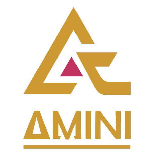 Amini Experience