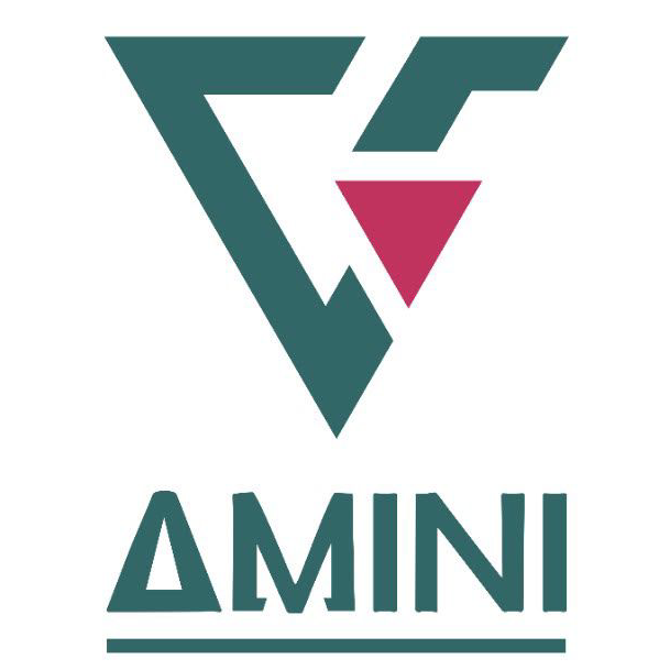 Amini Ventures